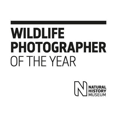Wildlife Photographer of the Year, el más prestigioso concurso de fotografía de naturaleza del mundo.