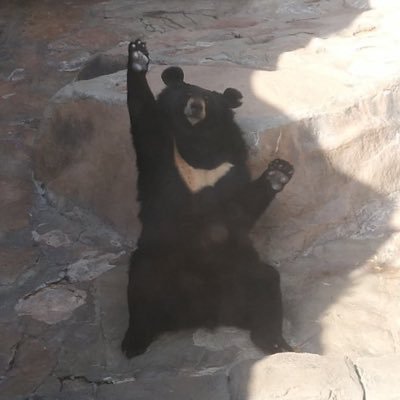 조오아?さんのプロフィール画像
