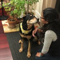 Jackie Esthappan Zoberi, PhD (@jzoberi) 's Twitter Profile Photo