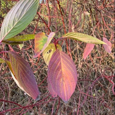 Goldenoldie10's profile picture. Science & Technology Business & Finance