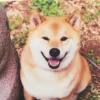 書籍編集者 丑久保和哉 (@kazuya_united) 's Twitter Profile Photo 書籍編集者 丑久保和哉 (@kazuya_united) 's Twitter Profile Photo