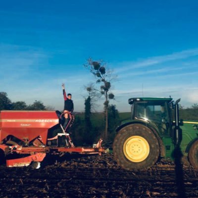 VenaultM's profile picture. 