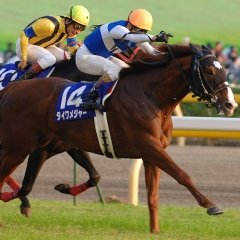 ダイワメジャー・メイセイオペラは「偉大」、それ以外の異論も認める。本田さんと競馬で一喜一憂まとめも。競馬(JRA&岩手)/アイマス(千早･楓･聖･可憐･灯織)/艦これ(五月雨)/ブシ系TCG/桑島法子/丹下桜/今井麻美/早見沙織/ラジオ/ラーメン/コーヒー/鉄道/ゴルフ/実況他 サブ垢 ＠room_major