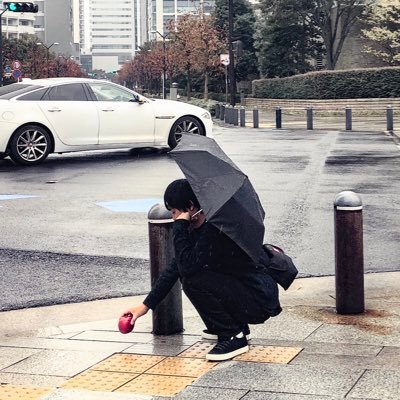 shutains_bear's profile picture. 