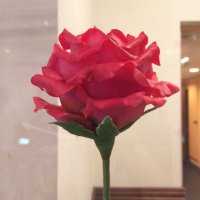 とんみ (@hhitomiii) Twitter profile photo