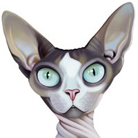 Sphynxlair(@Sphynxlair) 's Twitter Profile Photo