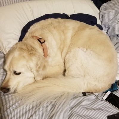 22, Policy Debate, SSBU. #c9Win stream ricky montgomery GSU class of 2026 https://t.co/KW2921ljlr