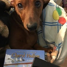 Cozy mystery reader, have a blog called Cuddle Up with a Cozy Mystery and a Dachshund;I will now follow authors on this account; dachshund mom to Mia