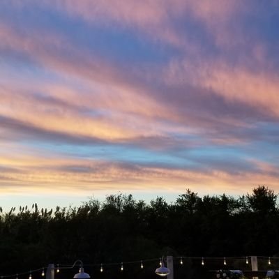 Staceycs15's profile picture. 