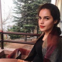 Elif (@vageus) Twitter profile photo