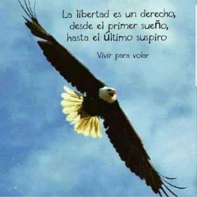 JDonosoCarrera's profile picture. 