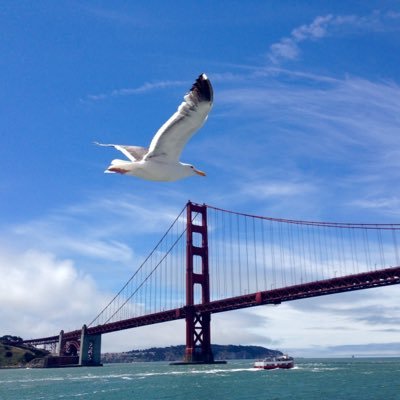 yos97's profile picture. 