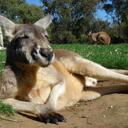 jeff ebert - @eeee95 - Twitter