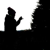 Paul Morden (@observerpaulm) 's Twitter Profile Photo