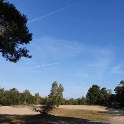 Maarn-actief! Account voor inwoners en ondernemers in en rond Maarn. Hier komen nieuws, wensen en ideeën, activiteiten en evenementen samen.