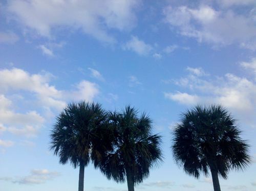 dbrook's profile picture. 