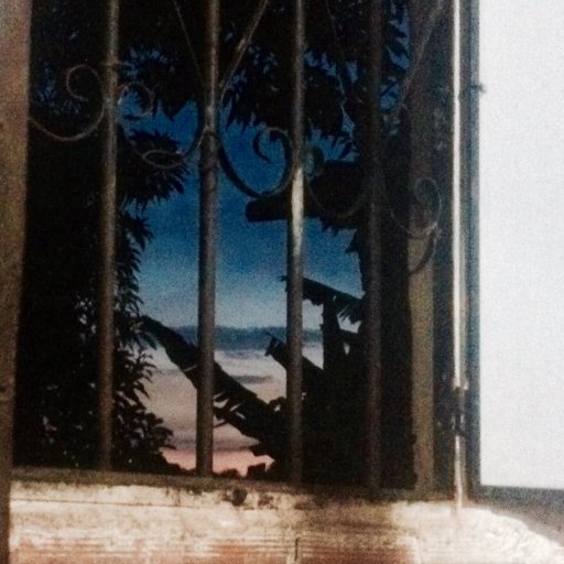 Rodrigo08125040's profile picture. eu sp quero se feliz