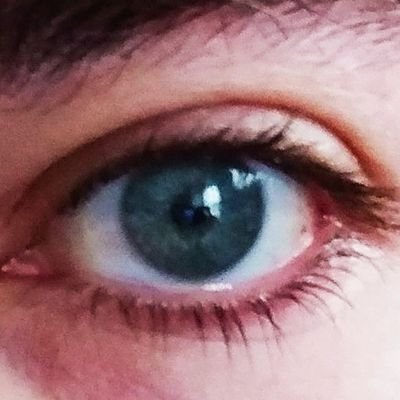 eltiolarios's profile picture. hoy no, mañana!