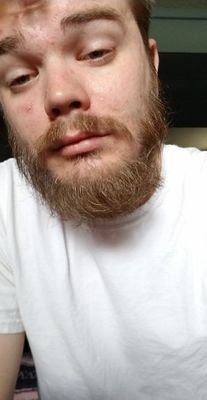 Josh11595's profile picture. 