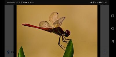 Paroteta1's profile picture. 