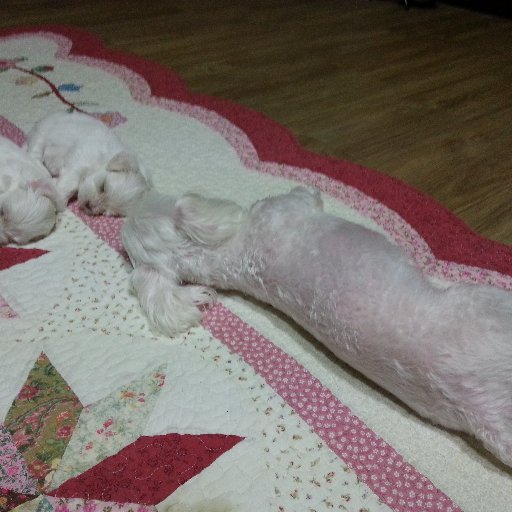 jmhking365's profile picture. 알루미늄표면처리업체를경영하는50대남