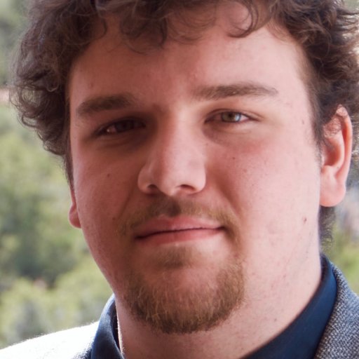 Software Engineer | Love Rust 🦀 | 日本語の勉強が大好きです | Harpejji enthusiast | bad at Twitter bios | @sad_frog@hachyderm.io