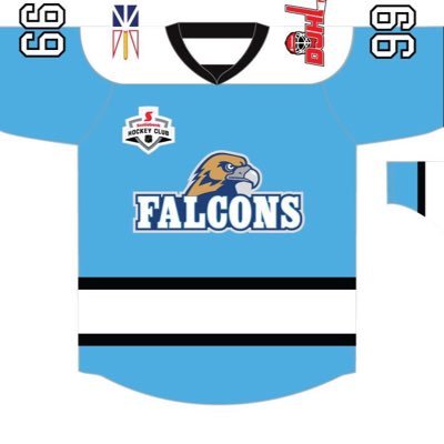 Official Twitter Account of the @Scotiabank Don Johnson Hockey League (@DJHLnews) Peewee AA Falcons