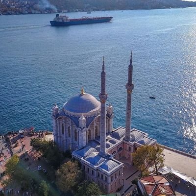 ces8283's profile picture. 