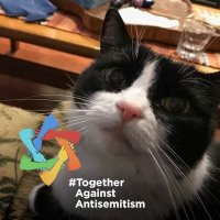 Odi F. (@odifass) 's Twitter Profile Photo Odi F. (@odifass) 's Twitter Profile Photo