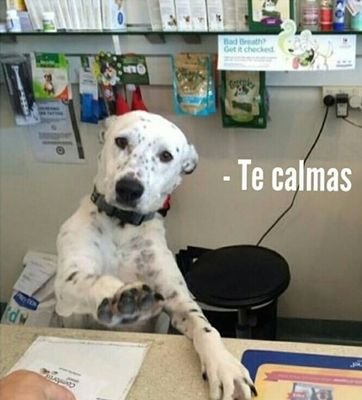 El chisme es mi pasión.