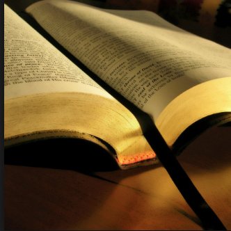 HarmonyHouse7's profile picture. 