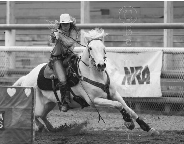 SidneyWgger's profile picture. 🐕🐴🐎🍷🌵