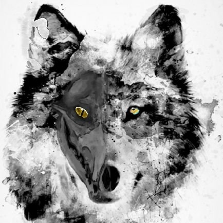 Most people know me by Zombi3 on the internet. I am also part of #UtilizeNation ⚡⚡⚡