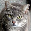 kitty  martin - @kItTYKaT__ - Twitter