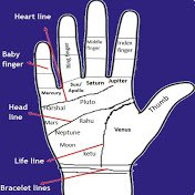 Twitter handle of Palmistry in Hindi Youtube Channel & https://t.co/B88To5zTLk