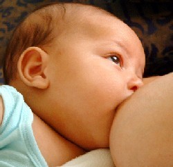 Best in up-to-date breastfeeding news, tips, and advice!
