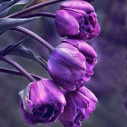 ‏💕‏لا يأس مع الحياة 
ولا حياة مع اليأس💕

💔لا بديل ل أمي لو بحثت فوق الدهر دهرا💔