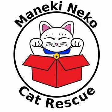 Contact us on 0459 779 888 - MNCR aims to provide and advocate for the health, welfare and wellbeing of all our feline friends 🐱