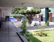 Guate1Intecap_'s profile picture. 