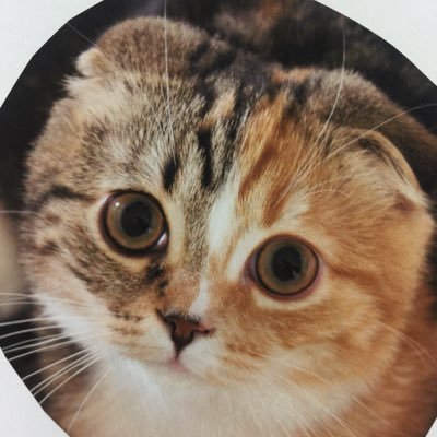 PiyoLab ピヨラボ