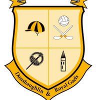 Dunshaughlin & Royal Gaels (@dunshaughlingaa) 's Twitter Profile