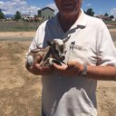 Dwight Merwin - @MerwinDwight - Twitter