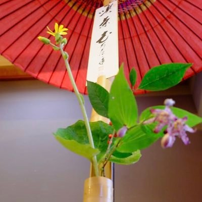 秋田大学 裏千家茶道部です。毎週月・木の16時～20時の時間で活動しています😊男女共に新入部員を募集しています！！！興味がある方は是非茶道部へお越しください🍵