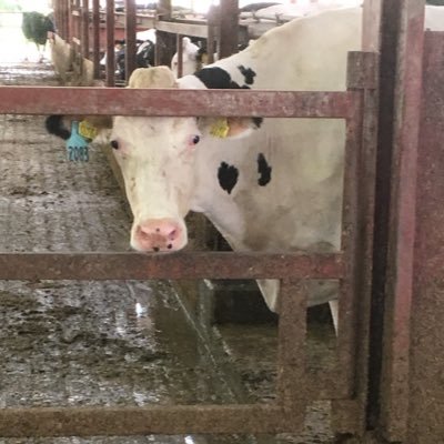 zeen_main's profile picture. 今ここにない未来は自分で創る