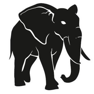 elephant_aue Profile Picture