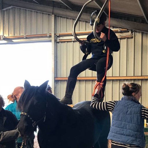 Mounting hoists for horse riders with disabilities UK and worldwide. Designed to get you from wheel chair to saddle in seconds.
📧 admin@horseplayltd.co.uk