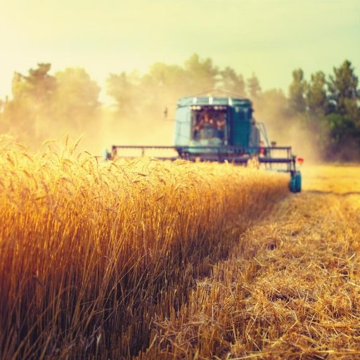 farmer_tee's profile picture. Follow us if you love Farmer tee