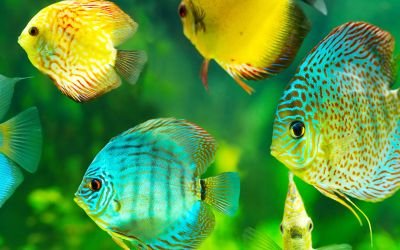 WaterInLife1's profile picture. 