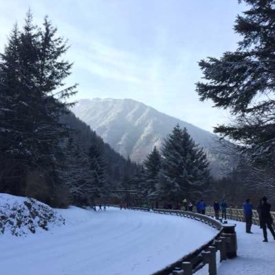 lztss1's profile picture. 