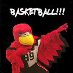 My name is Reggie and I was born September 28, 2012.  I live in the Hawk's Nest located in the VAC on the campus of Roberts Wesleyan College.  GO REDHAWKS!